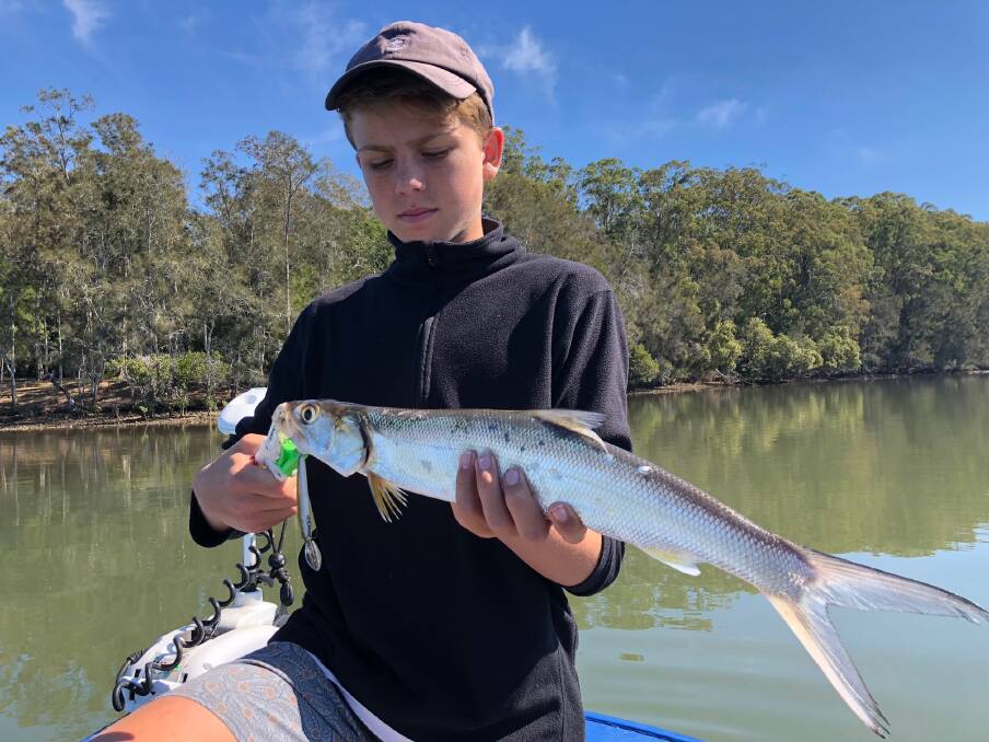 Berkley Pic of the Week: Bryce Turner recently caught this relatively uncommon giant herring in the Hastings River on board Castaway Estuary Charters.