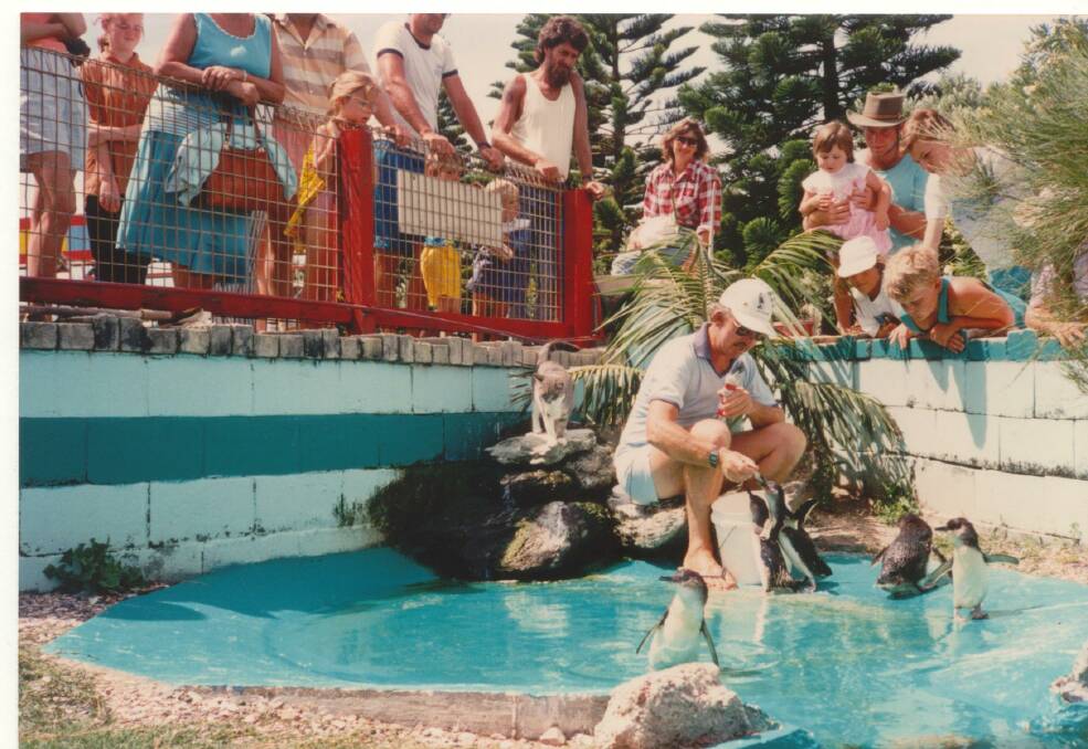 Penguin: Feeding at King Neptunes Park, c1980 is one of the images in the Tourists' Paradise exhibition at Port Macquarie Museum.