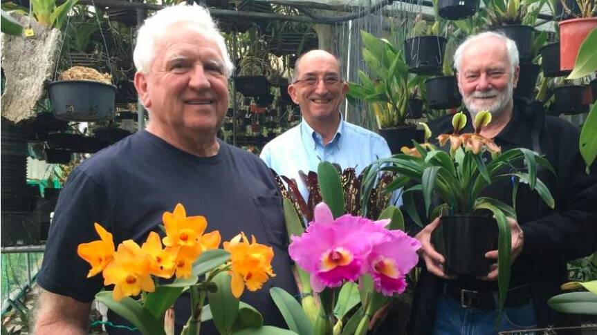 Port Macquarie Orchid and Bromeliad Society treasurer Wayne Stephensen, president Andrew Young and secretary Ken McNaught will be at Panthers to offer advice.