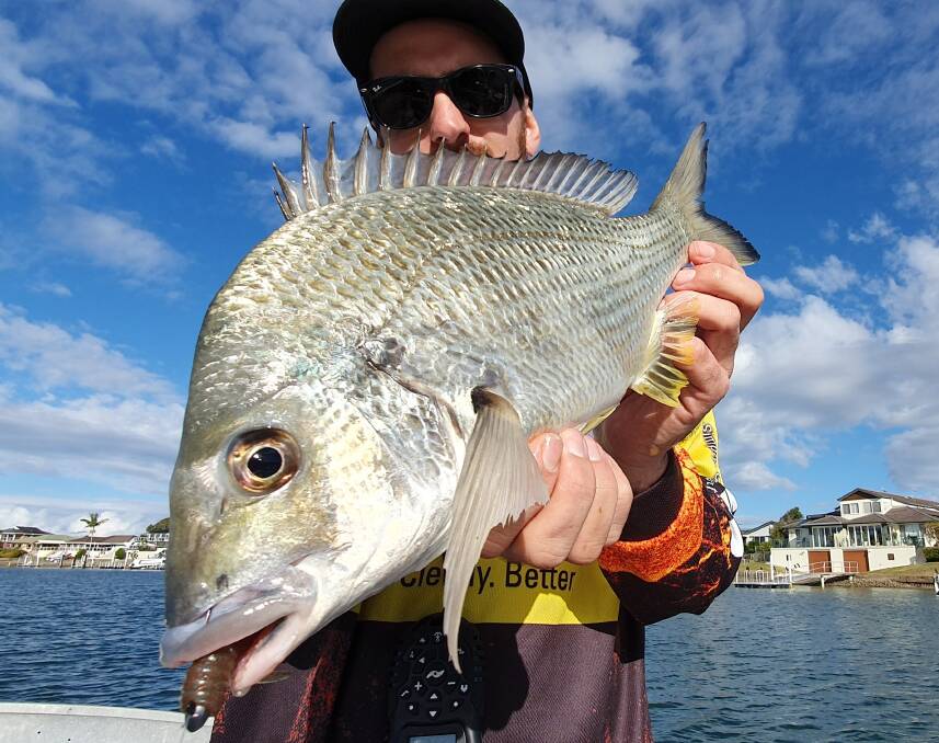 Tasty: Our Berkley Pic of the Week is Brodie Thorn with this cracking bream he recently caught in the canals on a soft plastic. Photo supplied