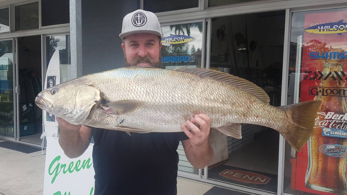 Nice catch: Our Berkley Pic of the Week is Matt Scully with the 11kg mulloway he recently landed in the Hastings river using only 6lb braid and a light spin outfit.