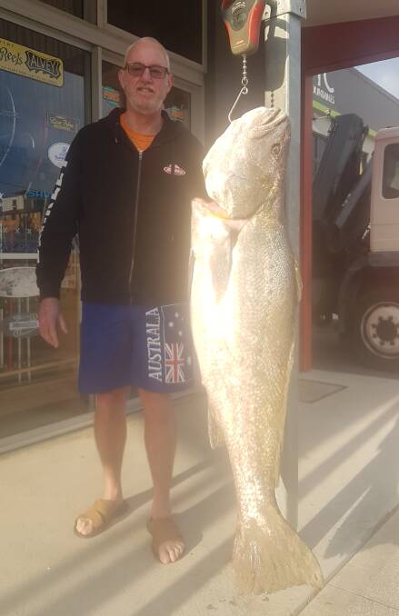 Family size: Our Berkley Pic of the Week is Trevor Franklin with this sensational 27.82 kilogram mulloway he recently caught off North Beach on a beach worm.