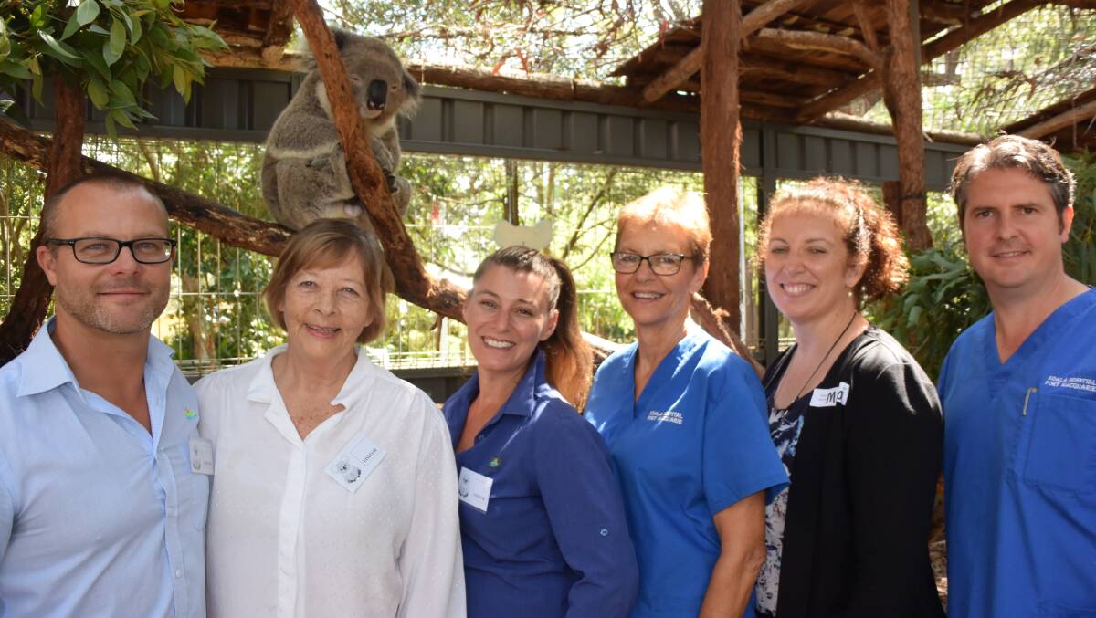 Welcome: Koala Breeza Grant looks on at her visitors from left, council's natural resources officer Thor Aaso, deputy mayor Lisa Intemann, council ecologist Rebecca Montague-Drake, Port Macquarie Koala Hospital clinical director Cheyne Flanagan, council group manager Maria Doherty, and Koala Hospital assistant clinical director Scott Castle.