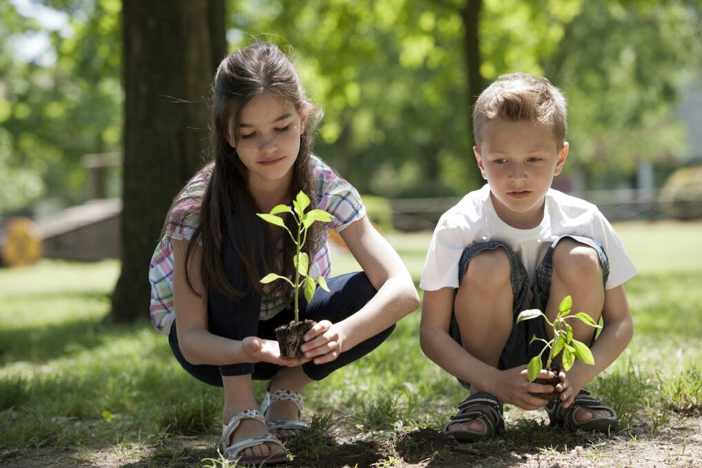 Get involved: Schools Tree Day on Friday, July 26 and National Tree Day on Sunday, July 28 are Australia's largest annual tree-planting and nature care events. 