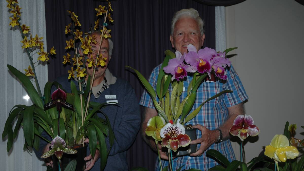 Allan Barnes (show marshall) and Wayne Stephensen with a sample of orchids to be exhibited. Photo: supplied. 