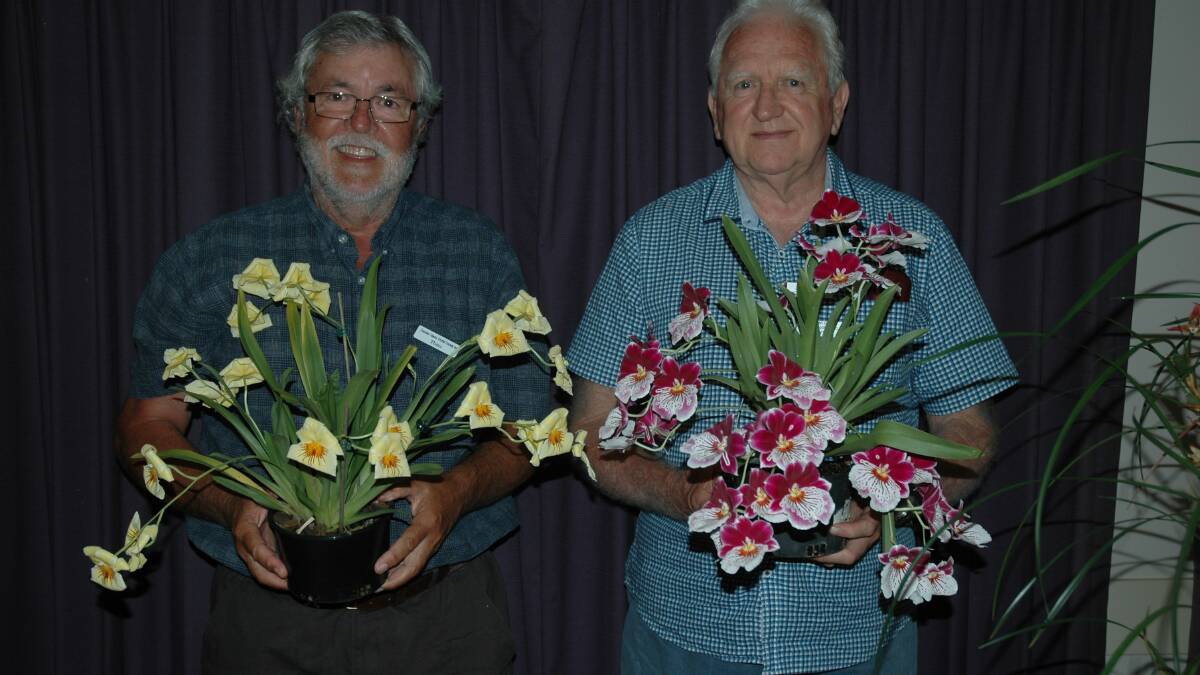  Wayne Stephensen and Tom Fetcher with an example of plants on display at the show.