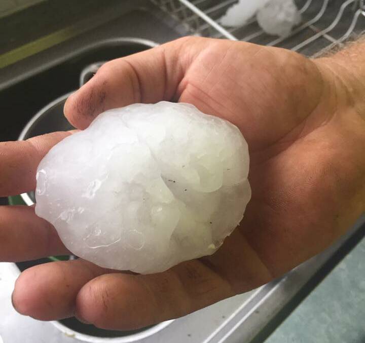 Photo of a hail stone from Upper Rollands Plains taken by Phillip Wilson.