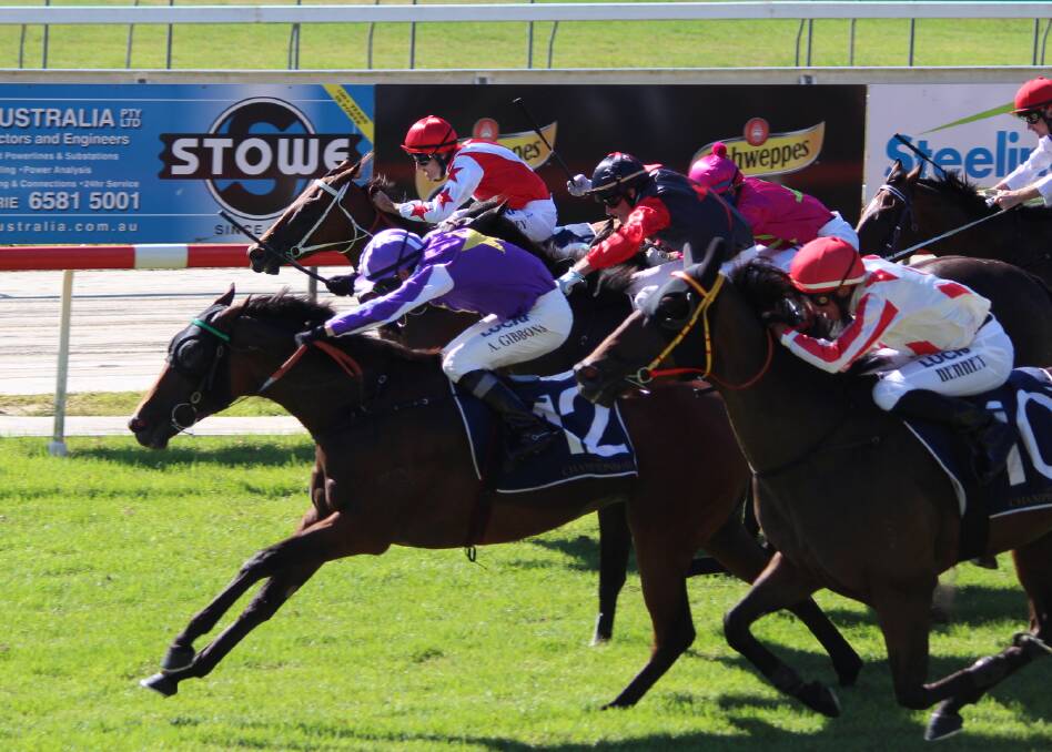 Winner: Lucciola Belle stormed home to win the $150,000 Country Championships Qualifier (1200m) in Port Macquarie. Photo: Tracey Fairhurst