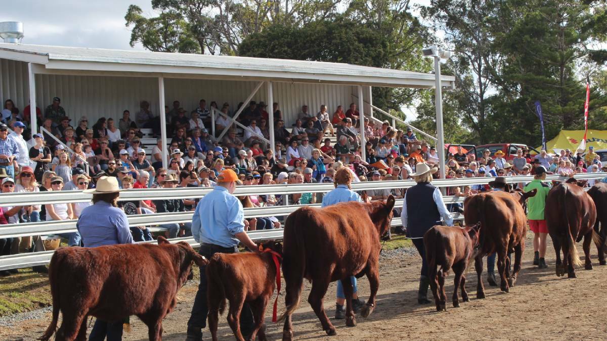 Wauchope Showground will receive $625,000 to replace two old wooden grandstands and replace three old wooden stables with new steel stables.