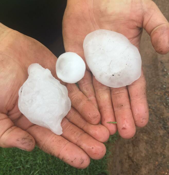 Photo of a hail stones from Upper Rollands Plains taken by Phillip Wilson.