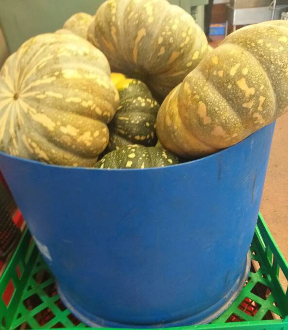 Pumpkins (about 100kg) were donated by Jim Mobbs from Bago Vineyard.