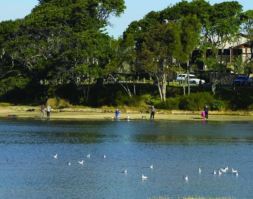Waterfront location: The Lake Cathie foreshore is a popular space. Photo: Port Macquarie-Hastings Council