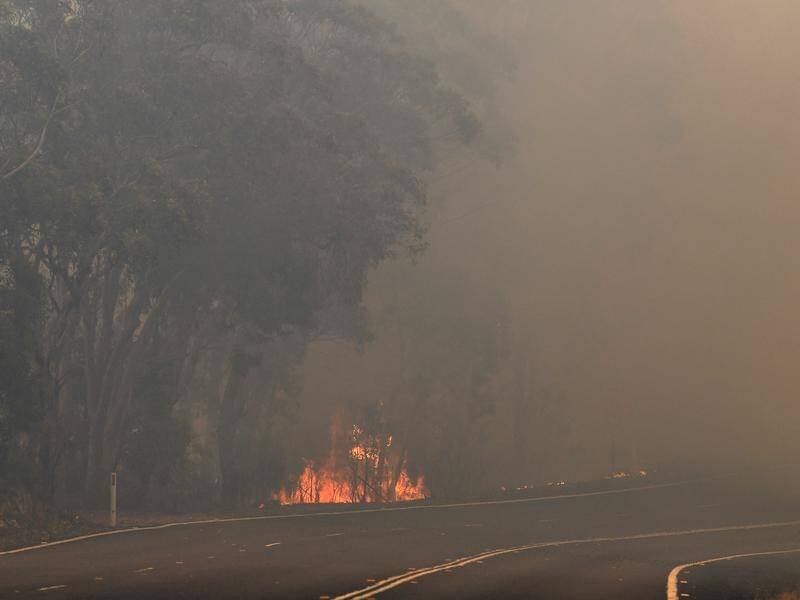 The COVID-19 pandemic could make firefighting difficult this bushfire season, an inquiry has heard.