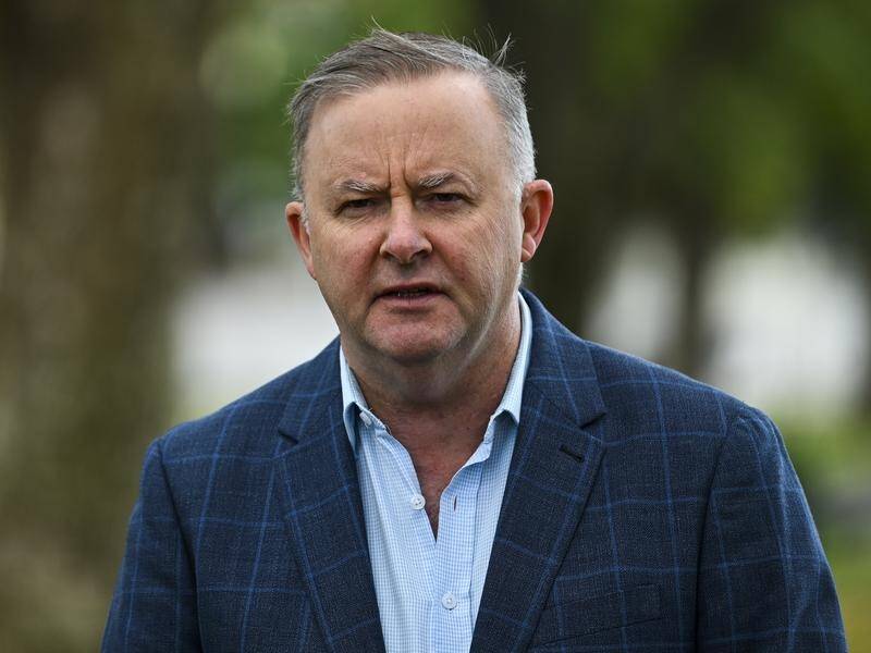 Labor leader Anthony Albanese says COVID19 is a rare opportunity to reshape Australia's economy.