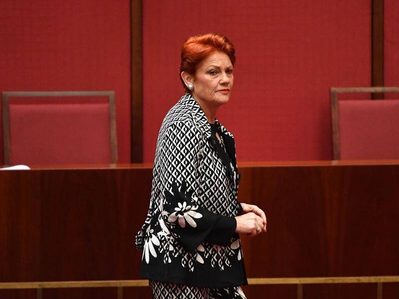 One Nation leader Senator Pauline Hanson has been banned from a regular spot on Nine's Today Show.