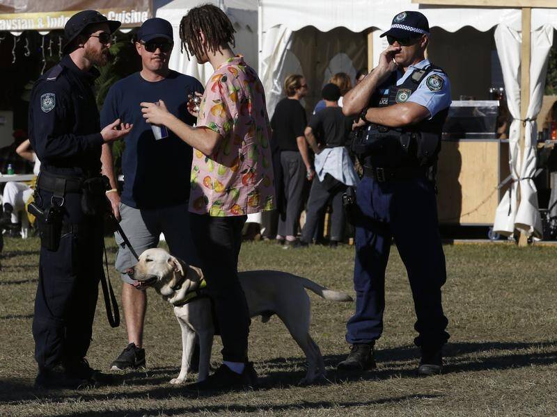 The NSW coroner's report has recommended pill testing be introduced at music festivals.